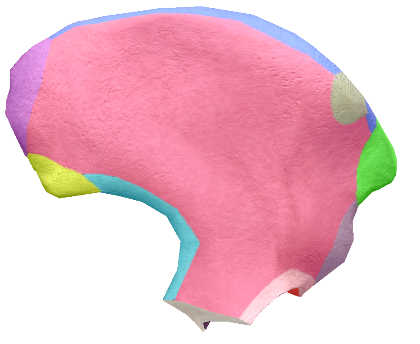 term image