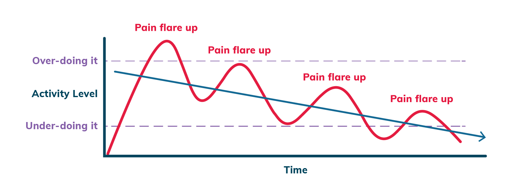 <p>Population cycles with rapid growth followed by dramatic decline (common in short-lived species).</p>