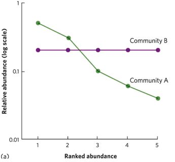 <p><span>The graph shows the rank-abundance curve for two communities.&nbsp;</span></p>