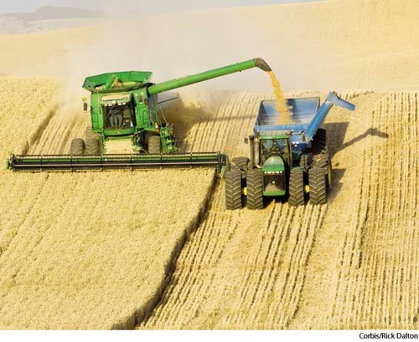 <p>INTENSIVE farming of grains using machinery</p>