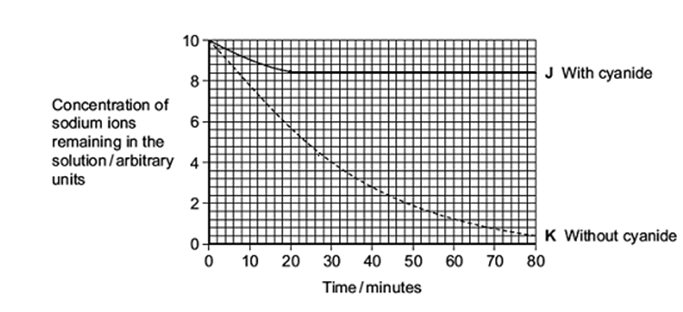 <p>A scientist investigated the effect of cyanide on the uptake of sodium ions by animal tissue.</p><p>He set up two beakers, J and K.</p><p>He put equal volumes of a solution containing sodium ions and equal masses of an animal tissue in each beaker.</p><p>•        He added cyanide to beaker J.</p><p>•        He did not add cyanide to beaker K.</p><p>He measured the concentration of sodium ions remaining in the solution in each beaker, for 80 minutes. The graph shows his results.</p><p><span style="font-family: Arial, sans-serif; line-height: 107%;"><span>Cyanide is a substance which affects respiration.<br>Use information in the question to explain the effect of cyanide on the uptake of sodium ions by the tissue. (3)&nbsp;</span></span></p>