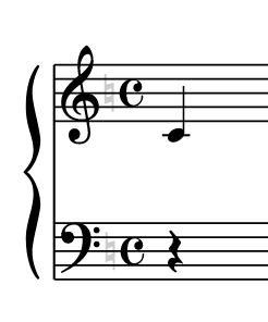term image