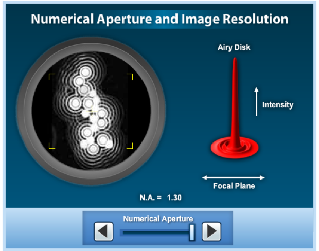 <p>the image formed by an objective at the intermediate image plane of a microscope is a diffraction pattern produced by spherical waves exiting the rear aperture and converging on the focal point.</p><p>The higher the NA the better the resolution! Image is high, which is why the spots can be seen, if it was lower the airy discs would fuse together.</p><p>the best objective you can get are plan apochromat objectives - most expensive. </p>
