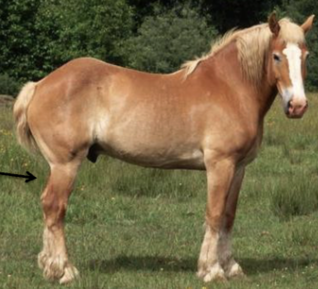 <p>What is this called?</p>