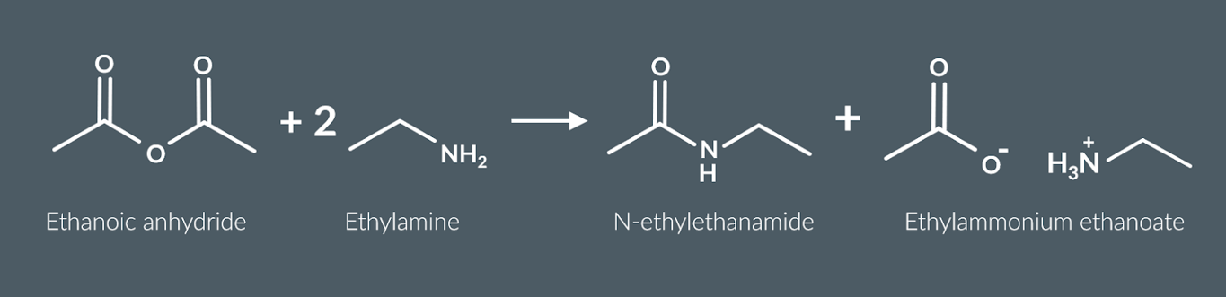 <p><span>a secondary amide and an ammonium salt</span></p>