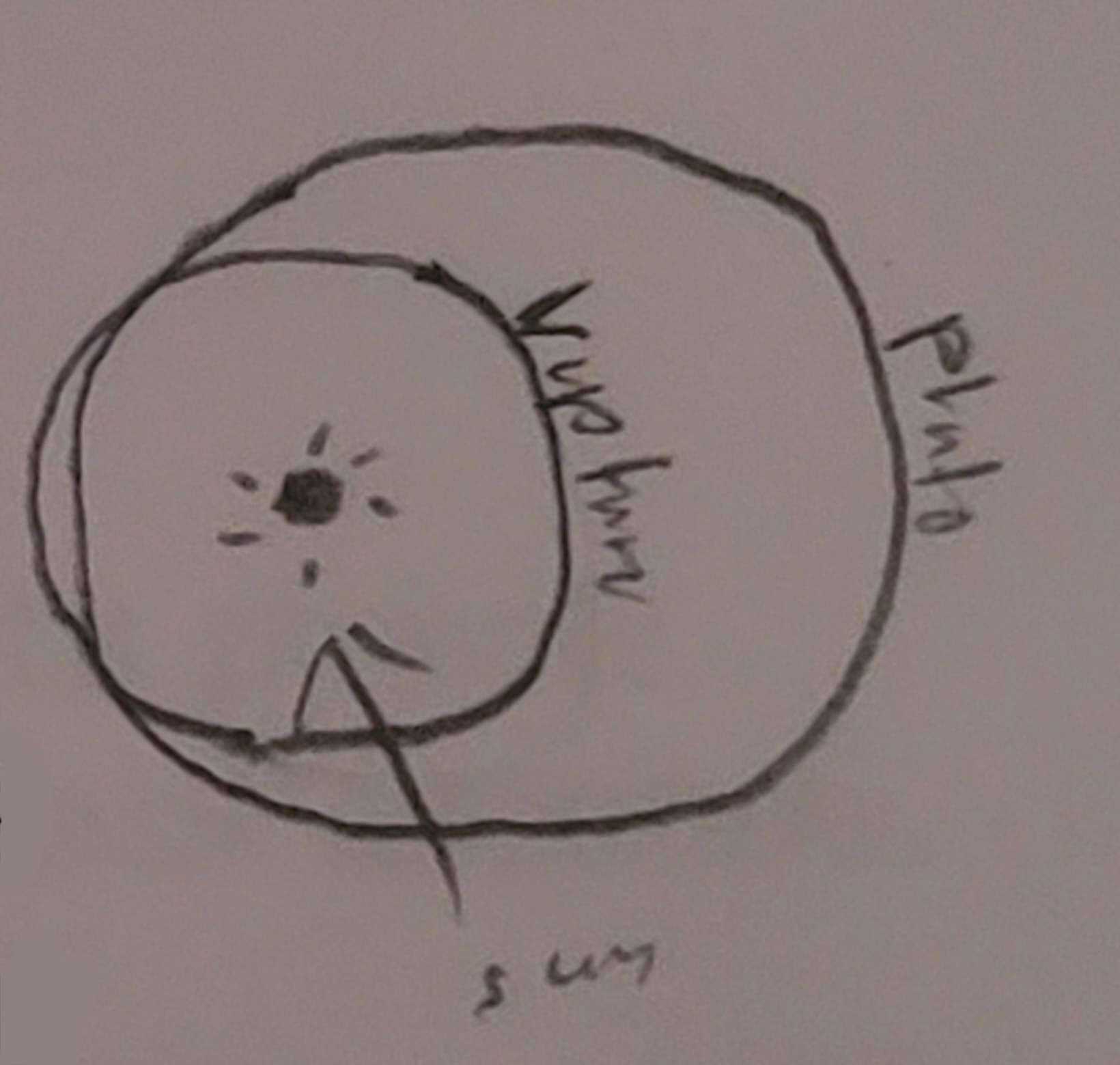 <p>Pluto’s orbit is oval shaped, making it sometimes closer to the Sun</p>
