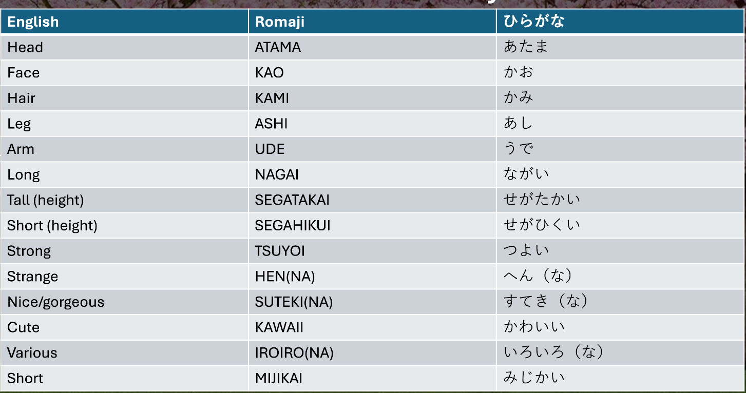 knowt flashcard image
