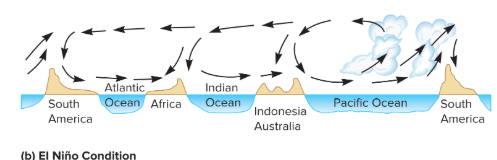 <p>With El Niño conditions, eastern Africa and Indonesia-Australia do not get their customary rain, while western South America receives heavy rainfall.</p>