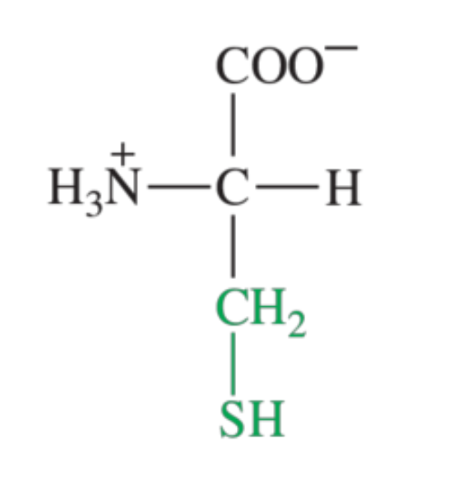 <p>What amino acid is shown in the image?</p>
