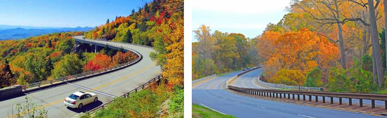 <p>The Parkway:</p><p><strong>What is the most famous of these parkways?</strong></p><p><strong>Name two famous Parkways:</strong></p>