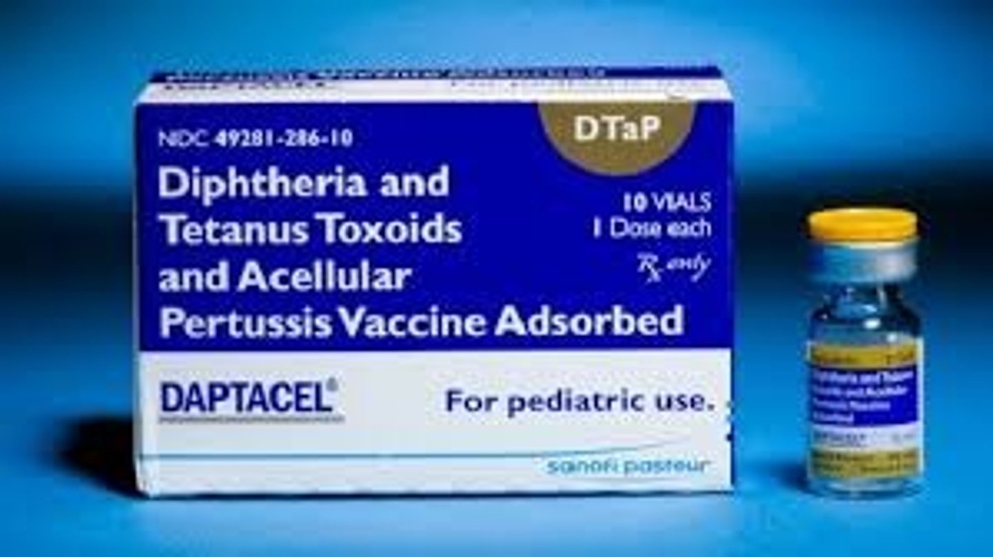 <p>(n) bệnh bạch hầu</p><p>example: Vaccines prevent ___.</p>