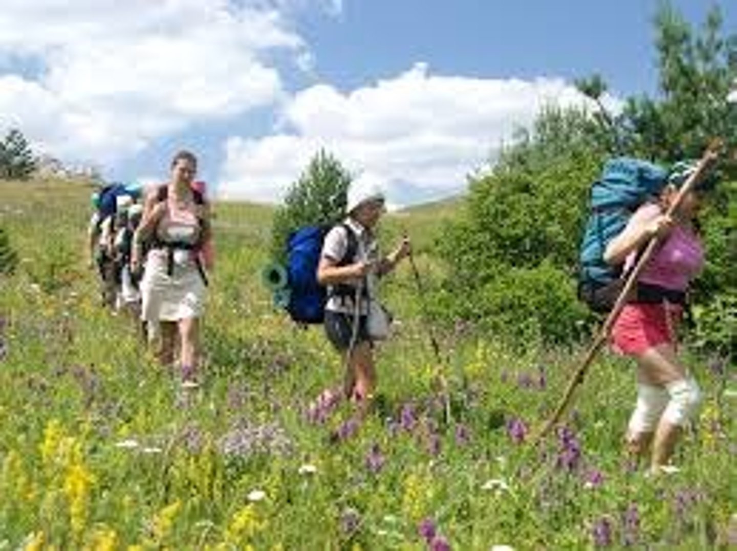 <p>camping trip; hike</p>