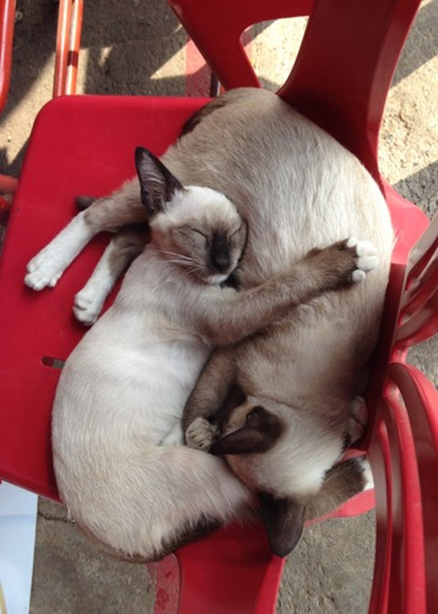 <p>Low and close: low sensitivity and close together</p><p>High and far: high sensitivity and far apart</p>