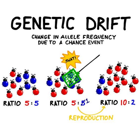 <p><strong>Genetic Drift. </strong>What part of Hardy-Weinberg does it oppose? </p>