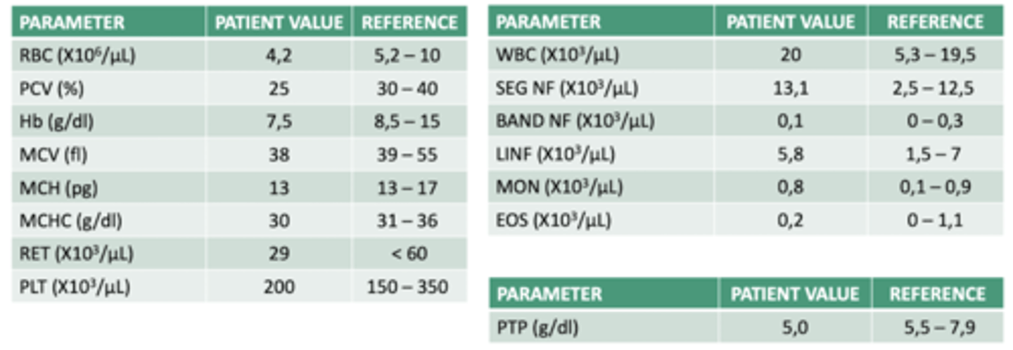 <p>interpretar esta analítica:</p>