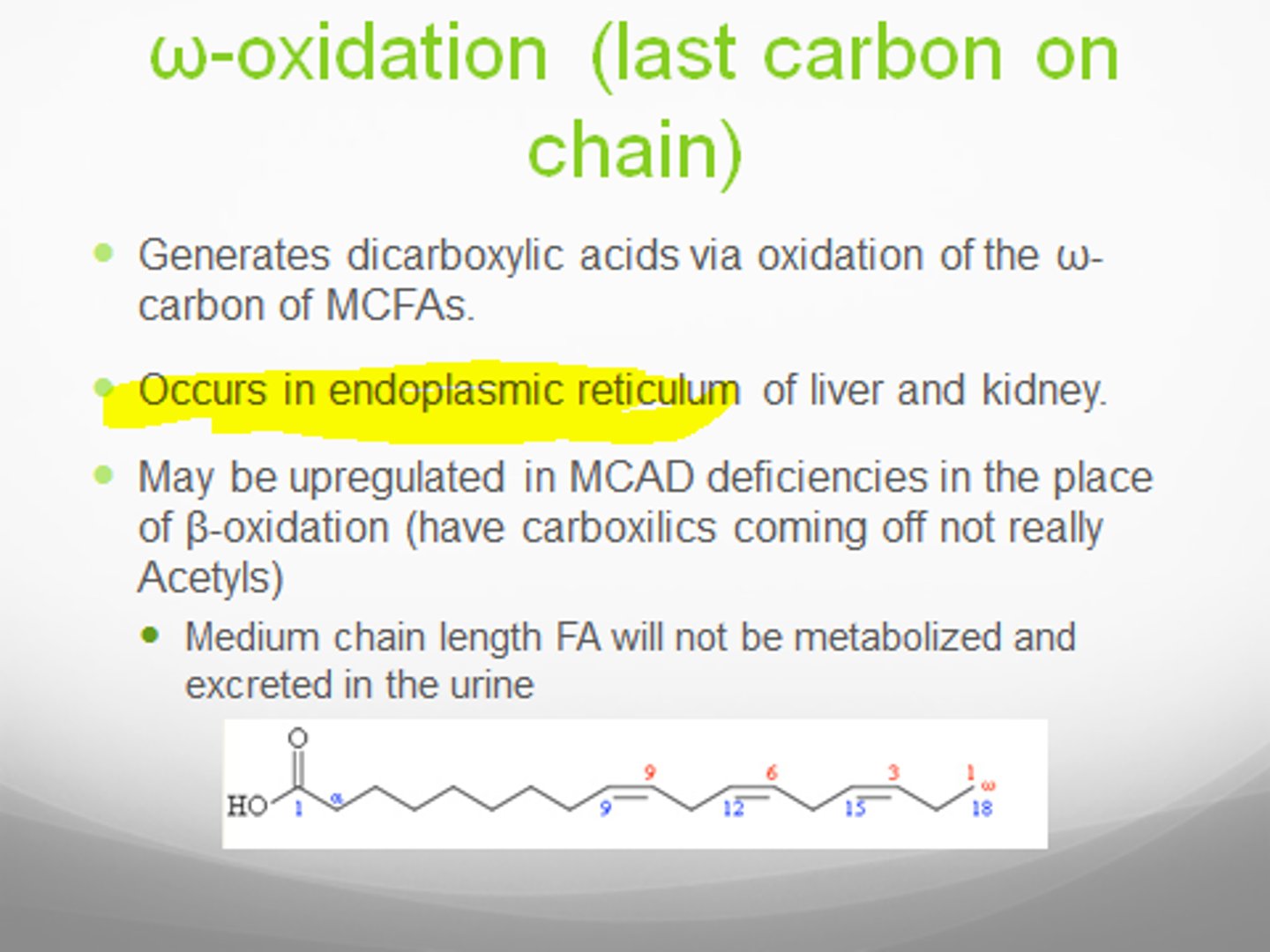 <p>oxidation at terminal carbon: add OH group to last carbon on none COOH end</p>