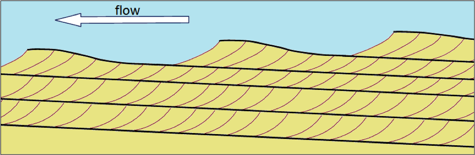 <p><strong>Ripples/cross-section - </strong>the leading edge is the steep edge, which is where the sediments are being deposited.</p>