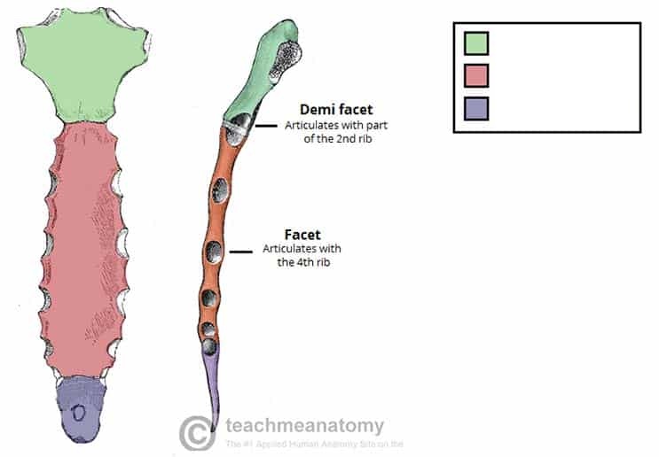 <p>What is highlighted in purple?</p>