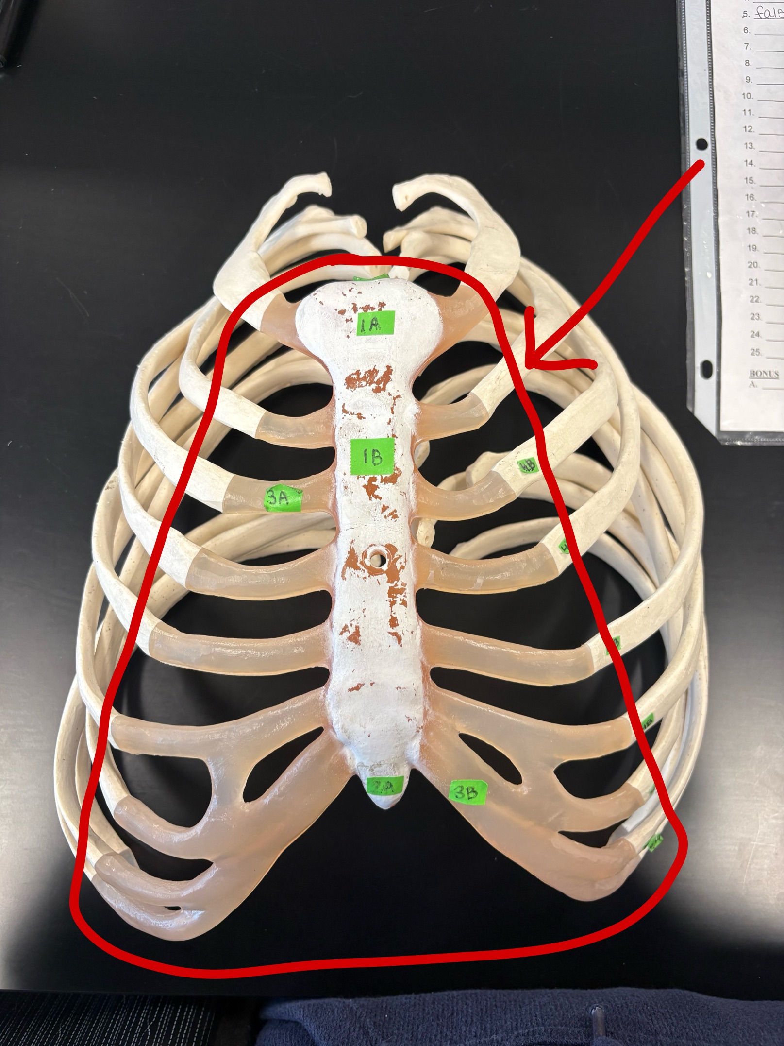 <p>What is this structure made of?</p>