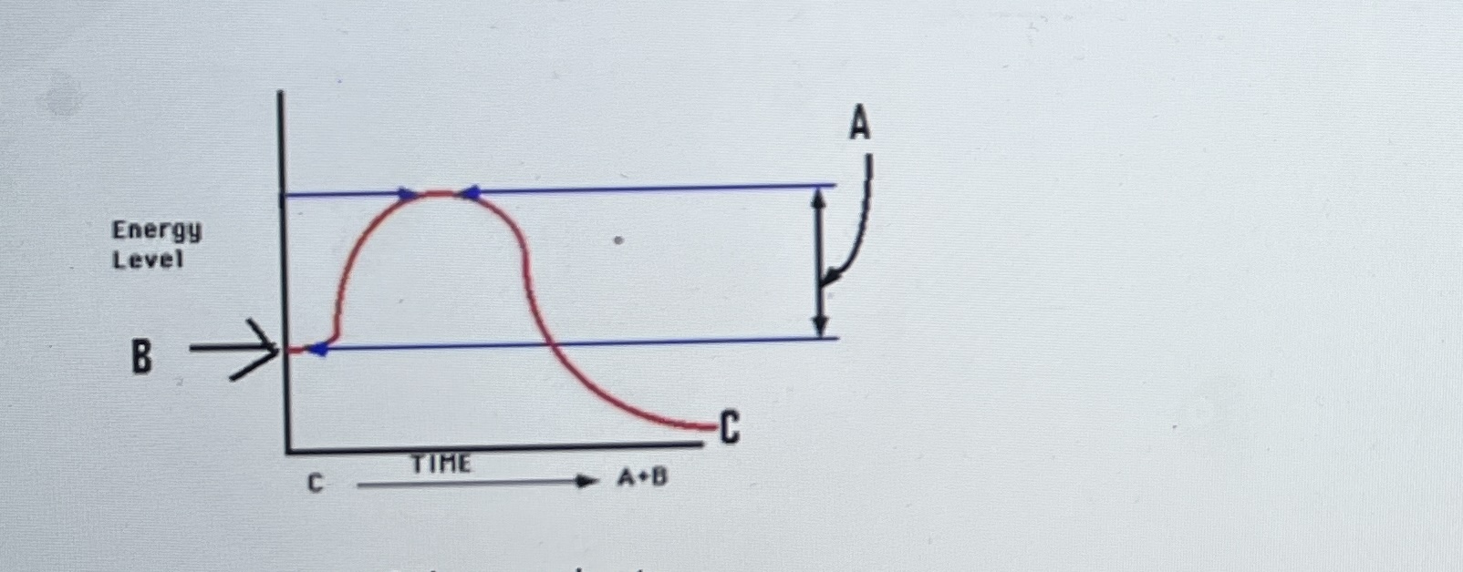Study the figure shown here. What does the letter A depict?
