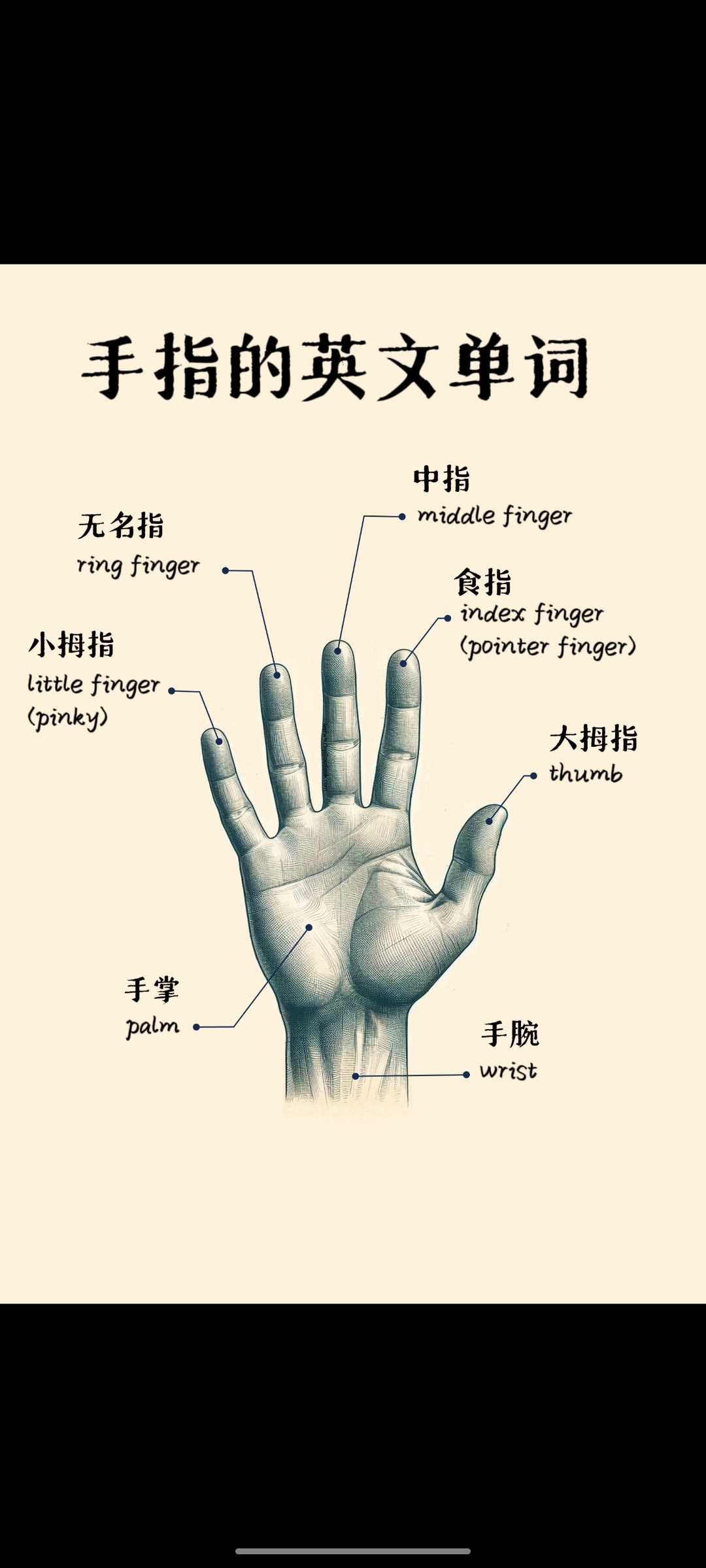 <p>shǒuzhǐ</p><p>палец (руки)</p>