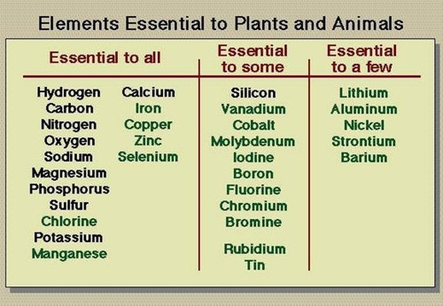 <p>Inorganic carbon (TCO2), phosphate (PO4), nitrogen (NH3 or NO3), silicon (H4SiO4), essential metals (Fe, Mg, Cu, V, Mo, etc.).</p>