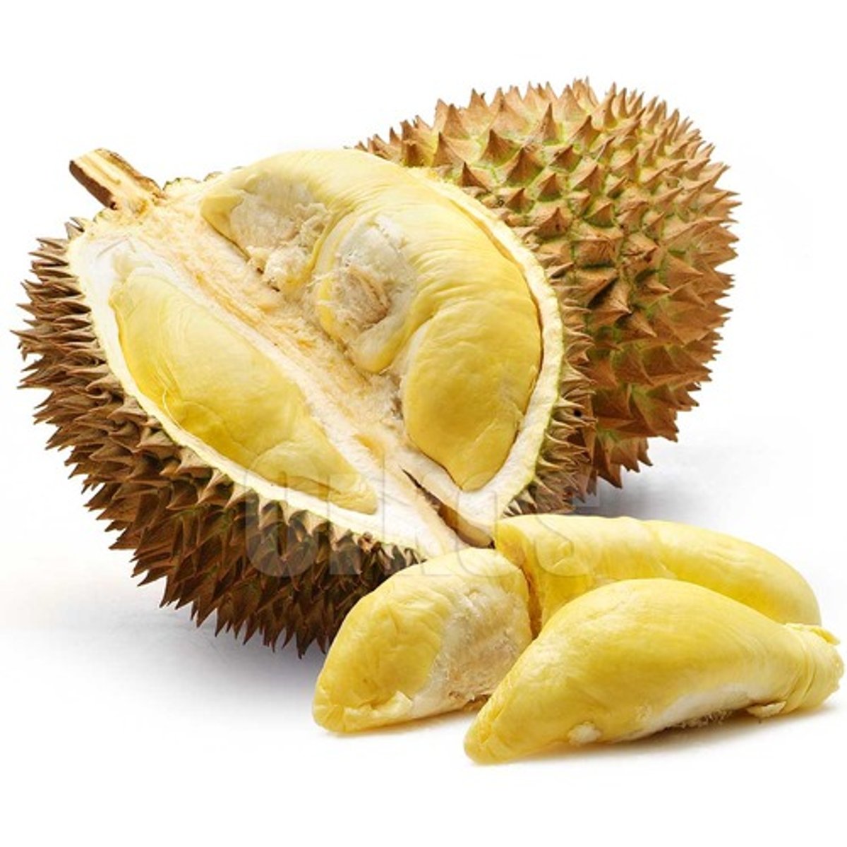 <p>(liú lián) durian</p>