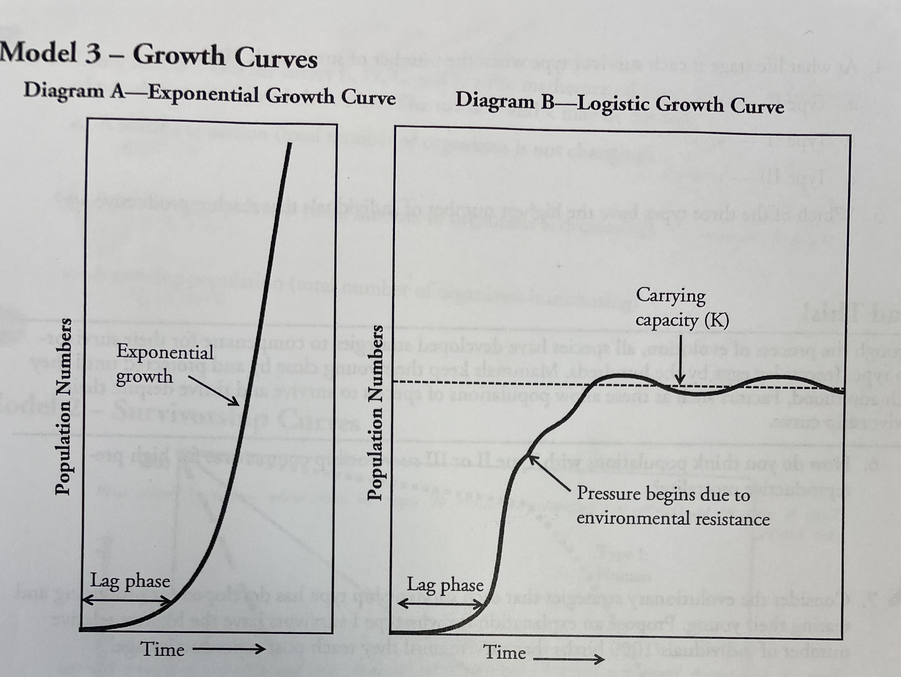 <p>During what phase of the growth curves in each diagram is the population just beginning to colonize an area?</p>