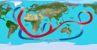 <p>Ocean currents</p>