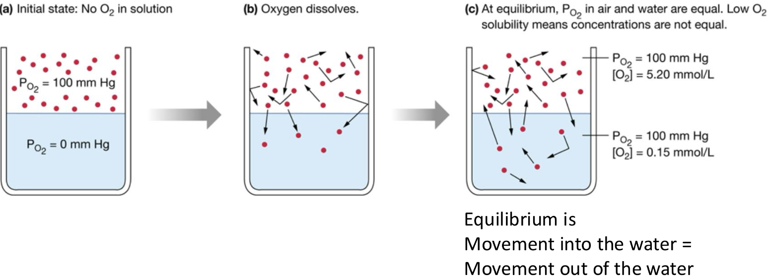<p>Oxygen is not very soluble in liquid</p>
