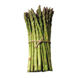 <p>what are these?</p>