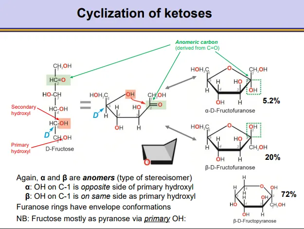 <ul><li><p>a <strong>hydroxyl </strong>from the bottom of the molecule can <strong>attack </strong>the <strong>carbonyl </strong>near the top of the molecule <strong>nucleophilically </strong>to produce <strong>pyranoses and furanoses</strong></p></li><li><p>in <strong>ketoses </strong>this produces a <strong>hemiketal </strong>around the anomeric (previously carbonyl) carbon</p></li><li><p>this normally occurs preferentially by a <strong>secondary </strong>hydroxyl, because they are more <strong>reactive </strong>than primary hydroxyls</p><ul><li><p>when the D-enantiomer is used, the CH<sub>2</sub>OH will point up</p></li></ul></li></ul><ul><li><p>this will produce <strong>anomers</strong>, depending on whether the <strong>hydroxyl </strong>on the <strong>anomeric </strong>carbon points <strong>down </strong>(<strong>alpha</strong>-opposite the CH<sub>2</sub>OH) or <strong>up </strong>(<strong>beta</strong>- same side as the CH<sub>2</sub>OH)</p></li><li><p>the ring closing is <strong>reversible </strong>and the ring can close into either form, so an equilibrium exists between the two forms</p></li><li><p><strong>in water the equilibrium leans towards the beta anomer</strong> (favourable in envelope furanose conformation)</p></li></ul><p></p><p><strong>note: fructose prefers to form a pyranose ring via its primary OH</strong></p><p></p>