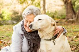 <p>(n)  <span>/kəmˈpænjən/</span></p><p><span>  a person or an animal that travels with you or spends a lot of time with you</span></p><h4 id="d9e8608c-ff6c-47f4-80de-f30ce57e3bee" data-toc-id="d9e8608c-ff6c-47f4-80de-f30ce57e3bee" collapsed="false" seolevelmigrated="true">→ <mark data-color="yellow" style="background-color: yellow; color: inherit">reliable</mark> companion </h4><p>= a good friend</p><p></p>