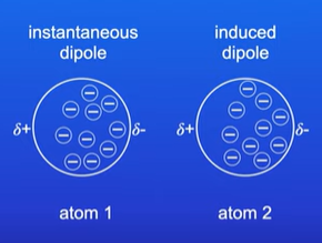 <ul><li><p>Random movement of electrons shifts all electrons in atom 1. </p></li><li><p>This repels electrons in atom 2 causing an induced dipole</p></li></ul><p></p>