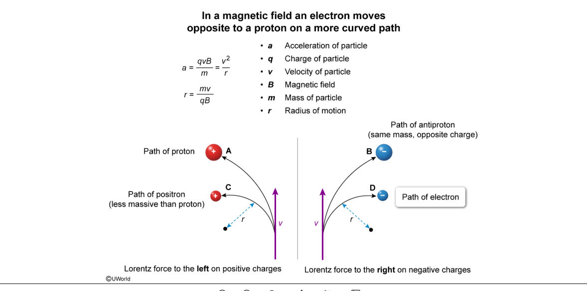 <p>Electron is also lighter than proton, so it curves more. </p>