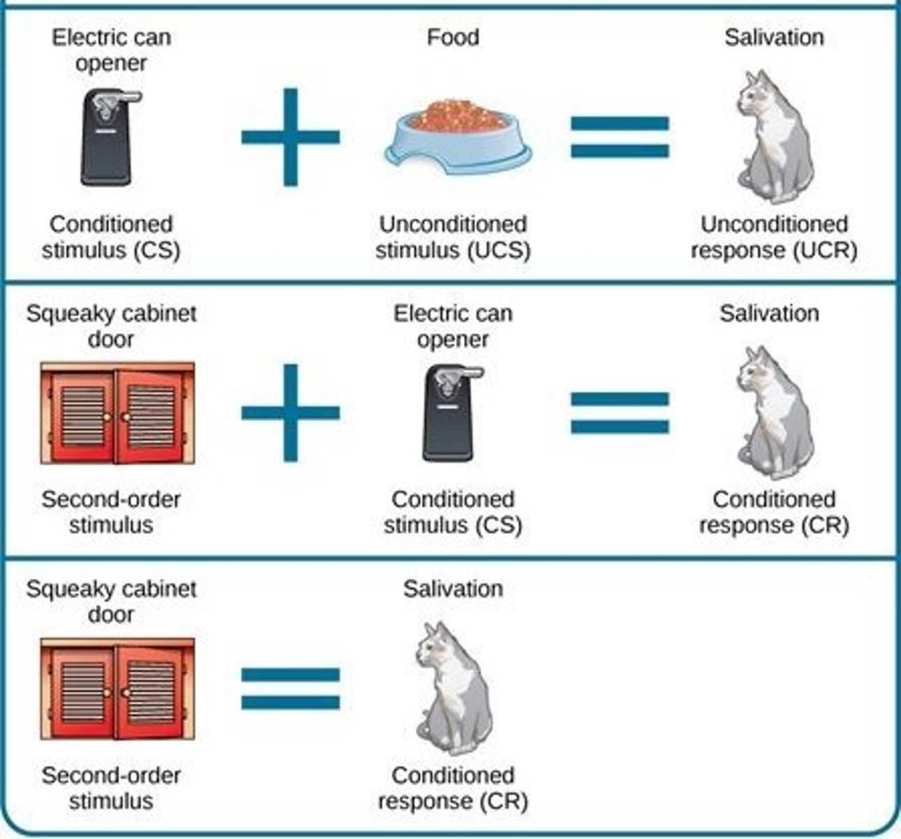 <p>A procedure in which a conditioned stimulus in one conditioning experience is paired with a new neutral stimulus, creating a second conditioned stimulus. For example, if a bell associated with food is then paired with a light, the light alone may eventually trigger salivation.</p>