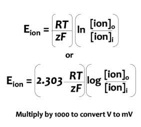 <p>used to predict an ion’s equilibrium potential</p>