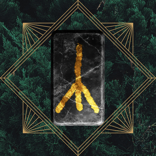 <p>algiz - reversed</p>