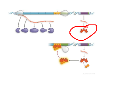 <p>What system + what structure</p>