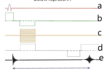 <p><span><span>What type of sequence does the image below represent?</span></span></p>