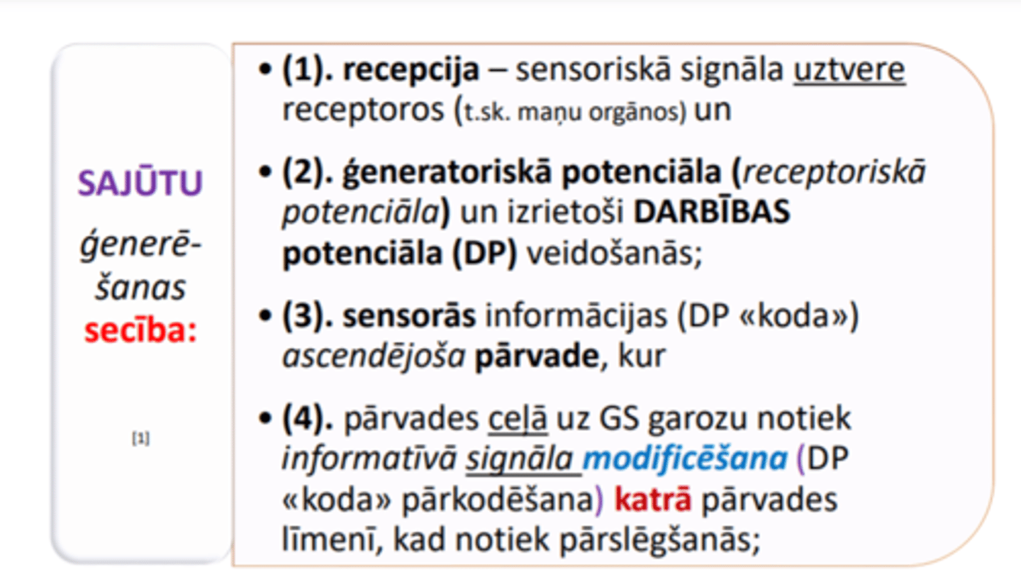 <p>5) informatīvā signāla atpazīšana un klasifikācija</p><p>6) dziļāka informatīvā signāla īpašību identifikācija un analīze</p><p>7) lēmuma pieņemšana, kas tālāk var izpausties noteiktās reakcijās (t.sk. somatiskās, veģetatīvās)</p>