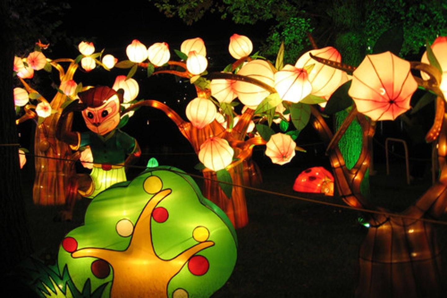 <p>Đèn lồng (n)</p>