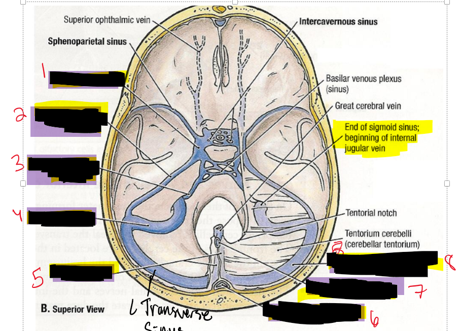 <p>Name the structure.</p>