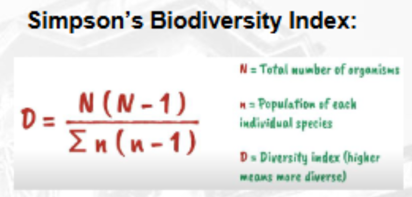 <p>species diversity</p>