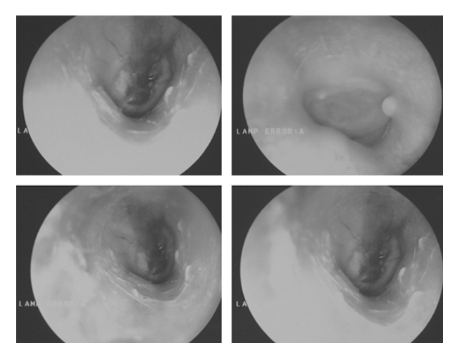 <p>What does the figure show?</p>