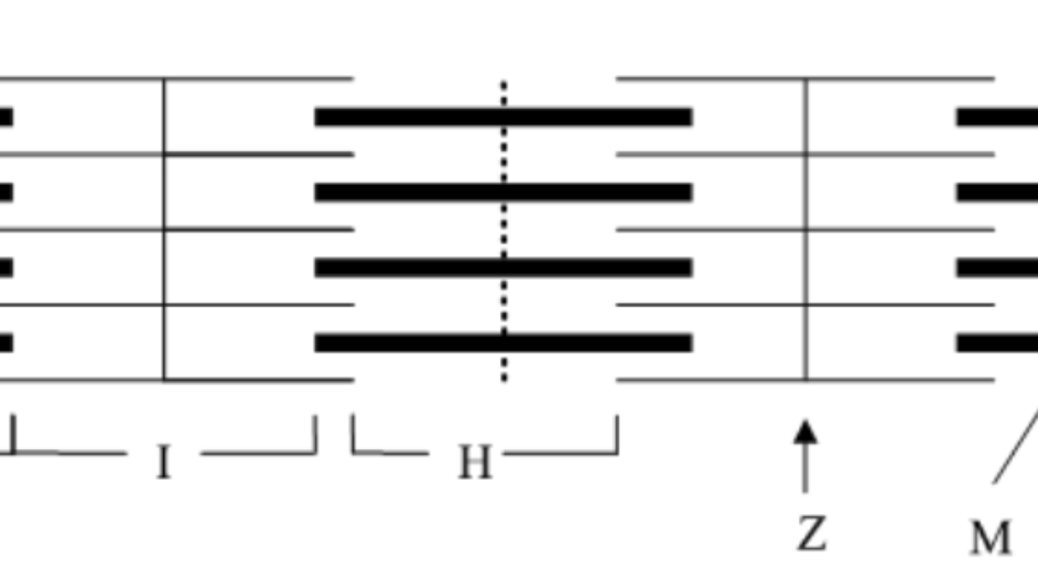 <p>H zone</p>