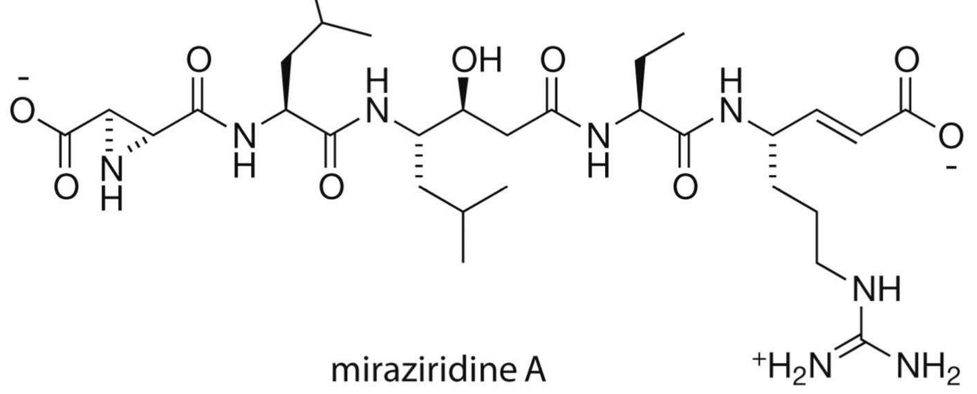<p>Simultaneously inhibits 2 or more biological targets.</p>