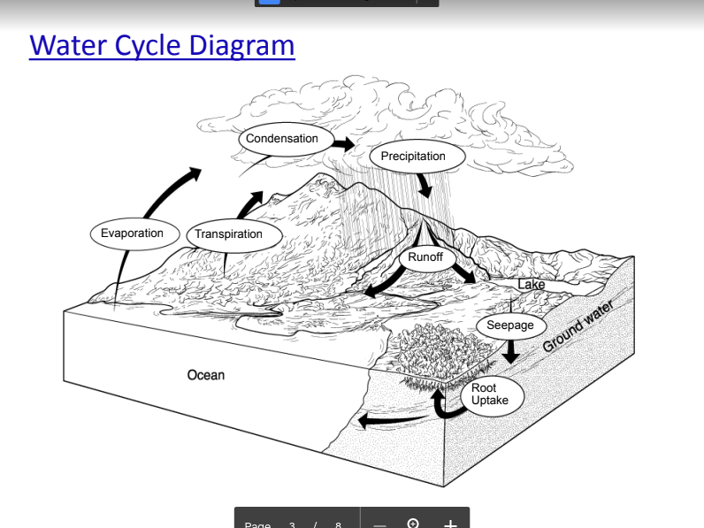 <p>An example of a biogeochemical cycle. -Plants take in water through their roots. It can transpire (evaporation) and reenter the atmosphere. -Animals drink water and eat plants. They then respire and excrete water back into the biosphere. -Decomposition of dead organisms also returns water to the biosphere.</p>