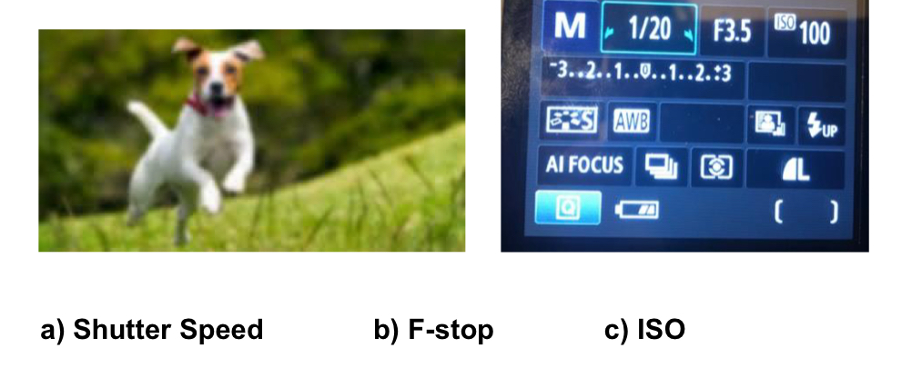 <p>What setting in this photo made the photo blurry? (The image is taken outside in a sunny day).</p>