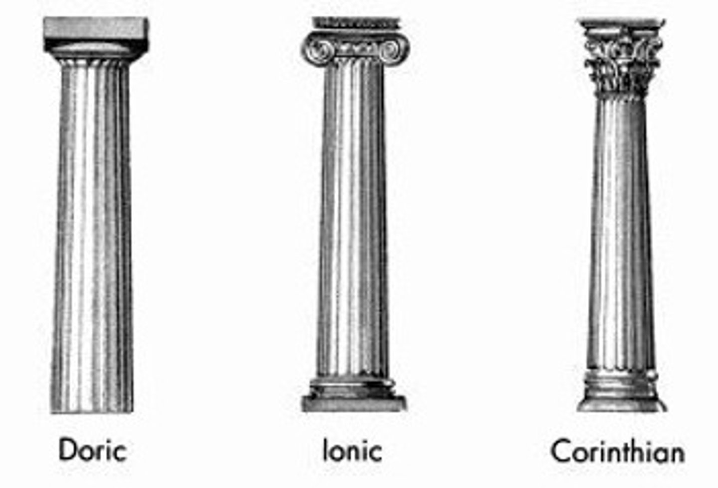 <p>Doric, Ionic, Corinthian</p>